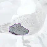 Slaty backed Gull