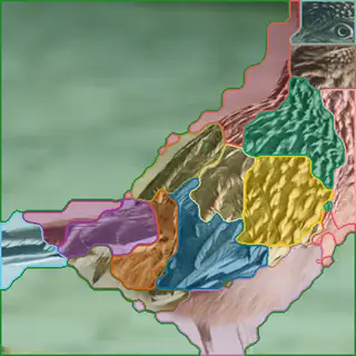 Geococcyx, concepts