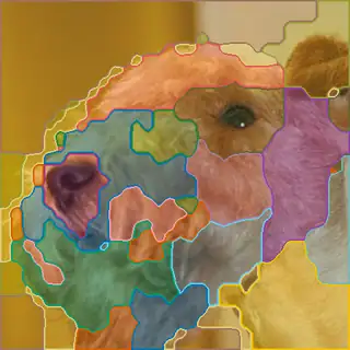 Lakeland terrier, concepts