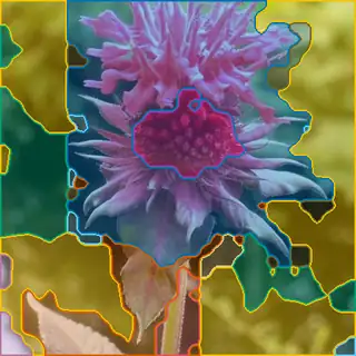 bee balm, concepts