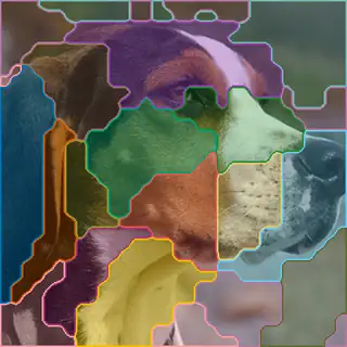 Walker hound, concepts